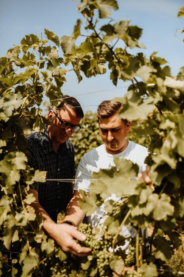 Kultur Weingut Kaestenburg ราทช์ อัน ดาร์ ไวน์ชตรัดเซอ ภายนอก รูปภาพ